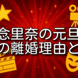 知念里奈 元旦那