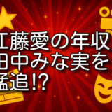 江藤愛 年収