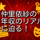 仲里依紗 年収