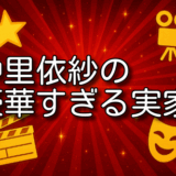 仲里依紗 実家