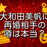 大和田美帆 再婚相手